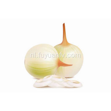 Professional Export New Season Fresh Yellow Onion